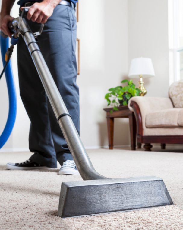 professional carpet cleaning service hamilton ontario