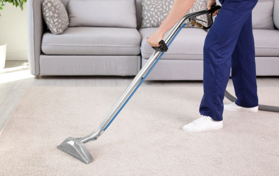 best hamilton carpet cleaning services near me