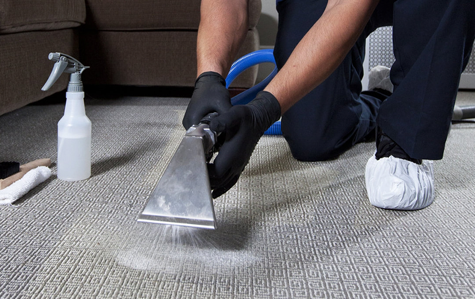 best residential carpet cleaning service ancaster